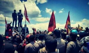 compressed_555920990IMG_20191002_075611