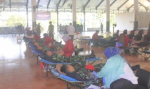 Screenshot_2023-08-15-22-38-38-62_6012fa4d4ddec268fc5c7112cbb265e7~2