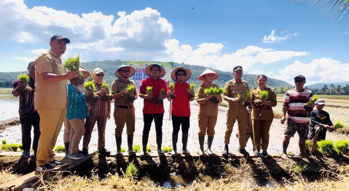 Baubau, mendukung ketahanan pangan nasional