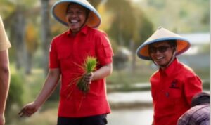 Baubau, Muhammad Yumardin Haeruddin-Adriansyah Farmin Baubau, Muhammad Yumardin Haeruddin-Adriansyah Farmin