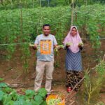 Wa Riati dan Kayan Mandana Putra, saat panen buncis di Desa Warinta. Hasil bantuan benih dari Mitra SPPG Awainulu, yang akan dipasok untuk kebutuhan Program Makan Bergizi Gratis (MBG), di Kecamatan Pasarwajo, Kabupaten Buton, Sulawesi Tenggara.