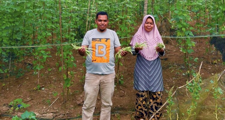 Wa Riati dan Kayan Mandana Putra, saat panen buncis di Desa Warinta. Hasil bantuan benih dari Mitra SPPG Awainulu, yang akan dipasok untuk kebutuhan Program Makan Bergizi Gratis (MBG), di Kecamatan Pasarwajo, Kabupaten Buton, Sulawesi Tenggara.