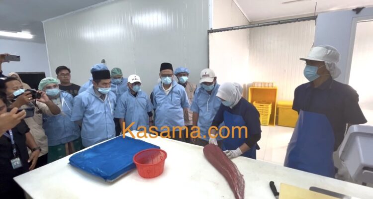 Menteri Haji dan Umrah Mochamad Irfan Yusuf melihat langsung proses pengolahan ikan di pabrik ikan di Sulaa Betoambari Baubau
