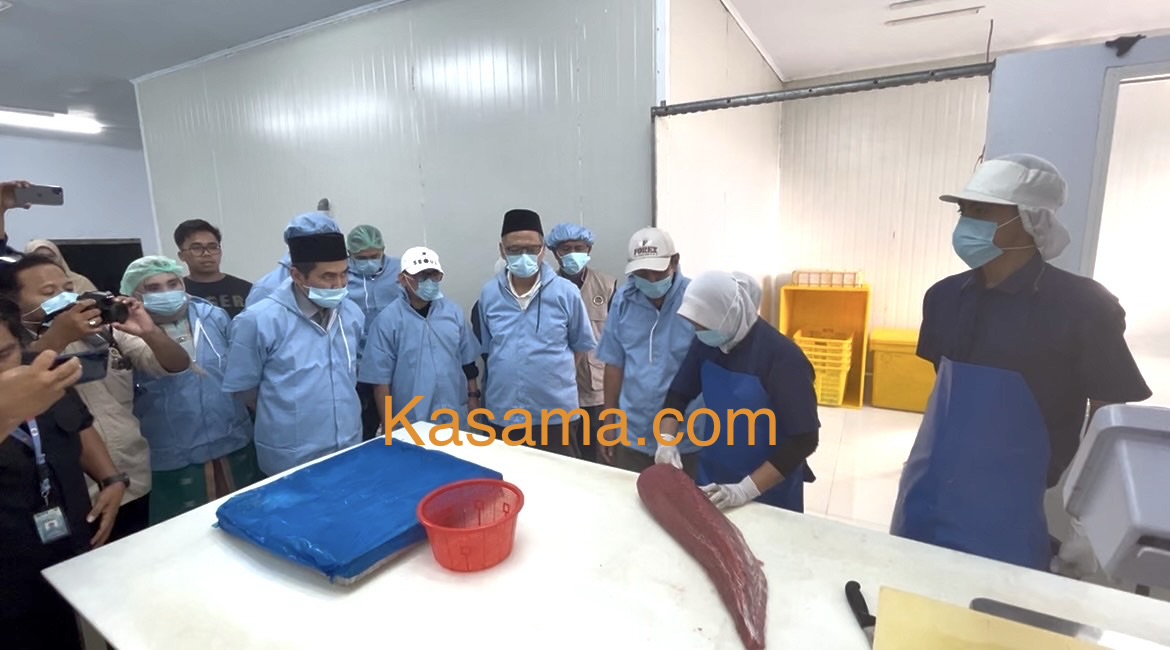Menteri Haji dan Umrah Mochamad Irfan Yusuf melihat langsung proses pengolahan ikan di pabrik ikan di Sulaa Betoambari Baubau