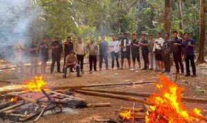 Sikat arena judi sabung ayam