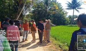 BPBD dan Dinas Pertanian Kota Baubau turun langsung di area persawahan Bungi
