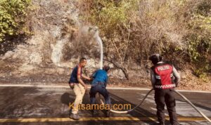 Hutan Tirta Rimba Terbakar, Titik Api Meluas Sampai ke Tepi Jalan Anoa