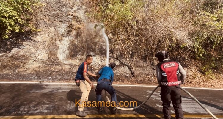 Hutan Tirta Rimba Terbakar, Titik Api Meluas Sampai ke Tepi Jalan Anoa